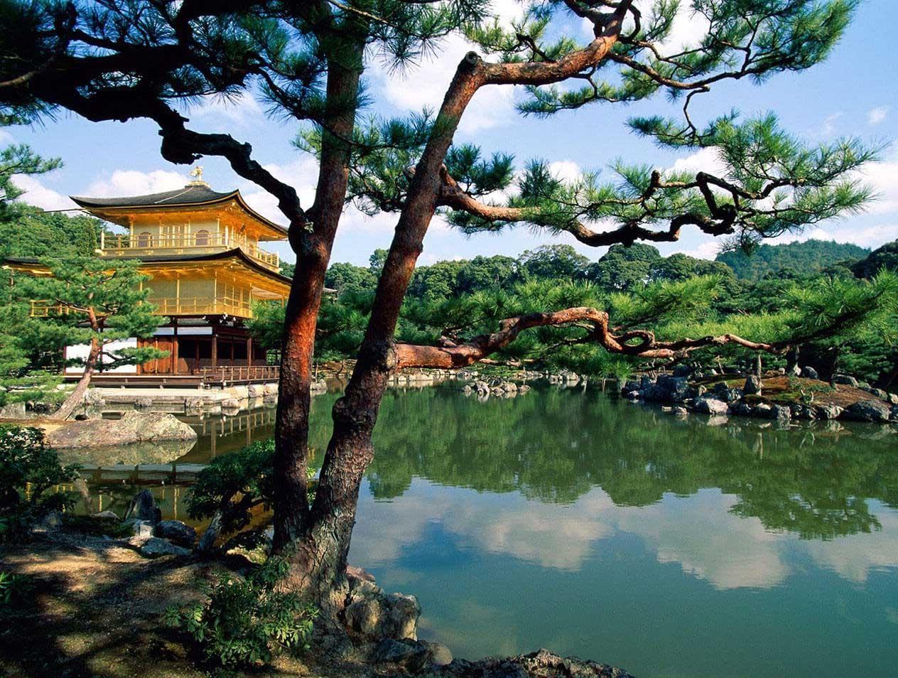 日本京都的金阁寺