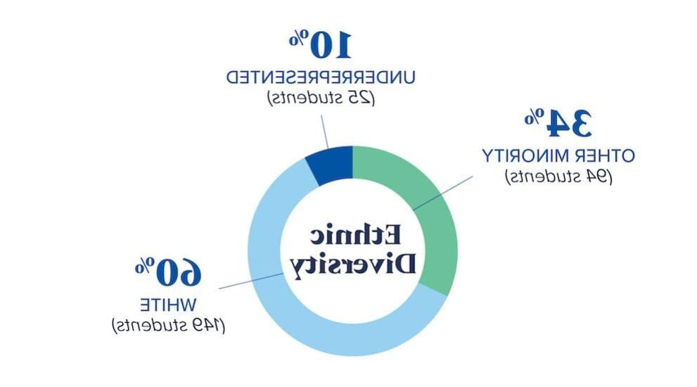 种族多样性- 10% 25名学生代表性不足, 60% 149名白人学生, 34%其他少数民族学生94名